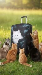 (My#85 Kedi Kara Tüy) VALİZ İÇİN KILIF