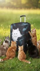 (My#85 Kedi Kara Tüy) VALİZ İÇİN KILIF